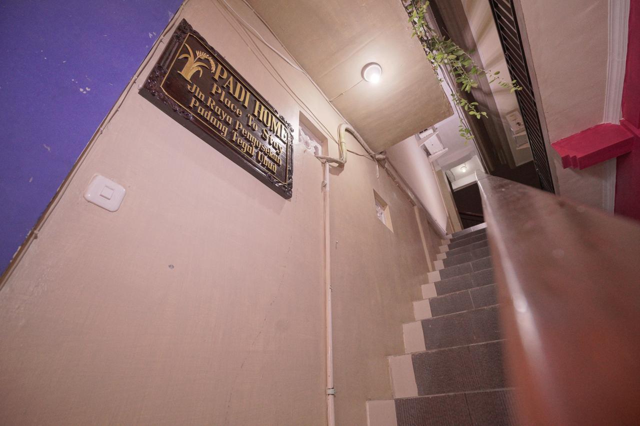 Padi Home Ubud Zewnętrze zdjęcie